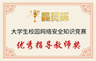 优秀指导教师奖